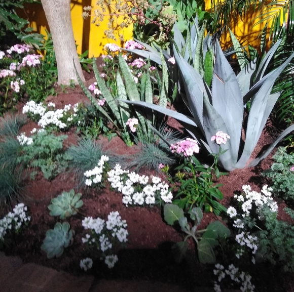 Meet your Posher, Meggan - Picture 1 of 1